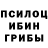 Галлюциногенные грибы MAGIC MUSHROOMS Matthew Leitch