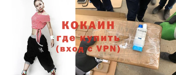 индика Балахна