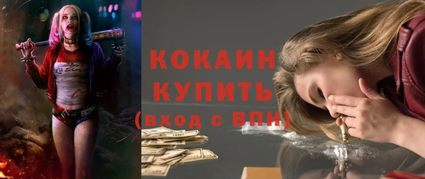 шишки Армянск