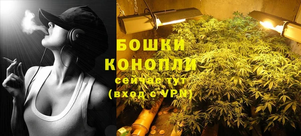 индика Балахна