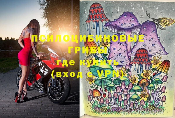 шишки Армянск