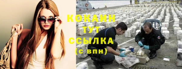 индика Балахна