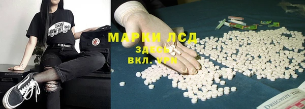 индика Балахна